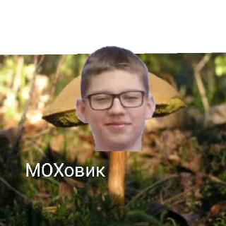 Sticker Моховитый мох - 0