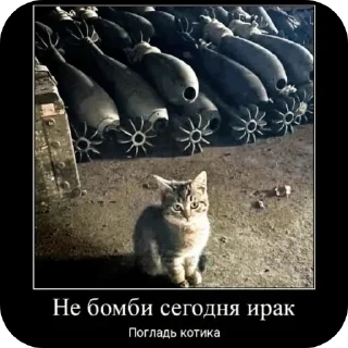 Sticker Мои рабочие стикеры  XD - 4