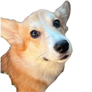 Стикер Мои стикеры - 10