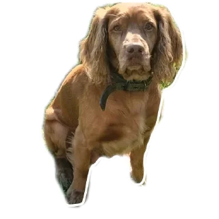 Стикер Мои стикеры - 7