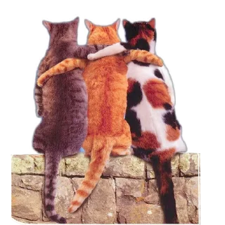 Стикер Мои стикеры - 3