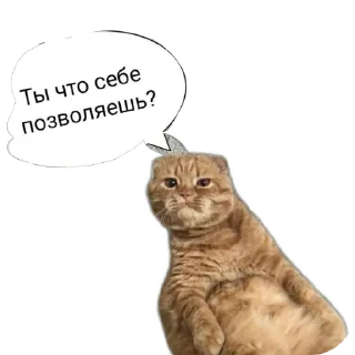 Стикер Мои стикеры - 9