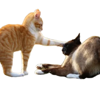 Стикер Мои стикеры - 6