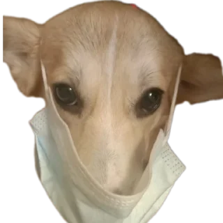 Стикер Мои стикеры - 4