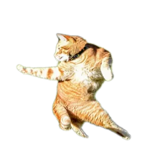 Стикер Мои стикеры - 5