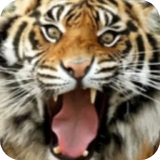 Стикер Мои стикеры - 8