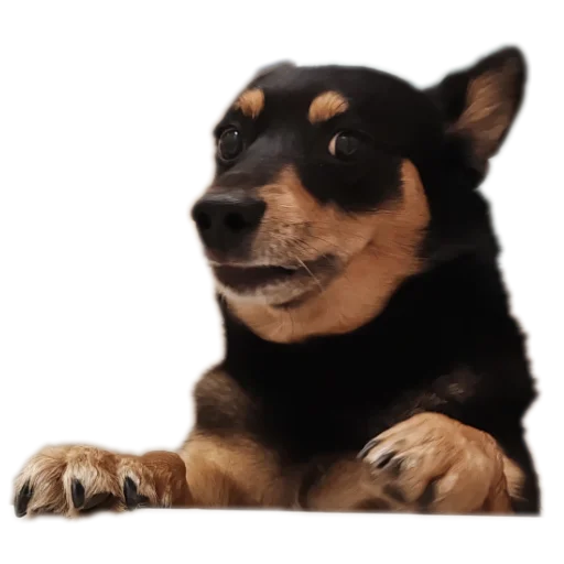 Мои стикеры - 