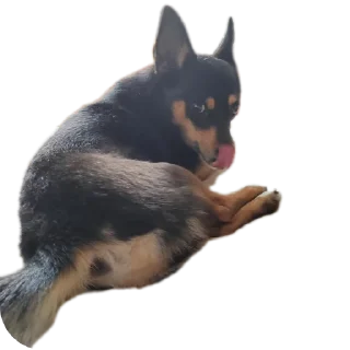 Стикер Мои стикеры - 9