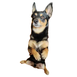 Стикер Мои стикеры - 5