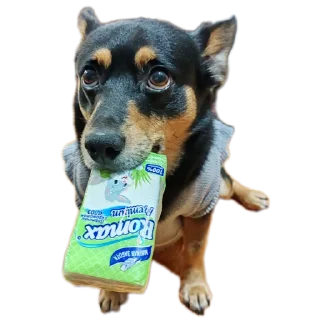 Стикер Мои стикеры - 7