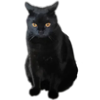 Стикер Мои стикеры - 6