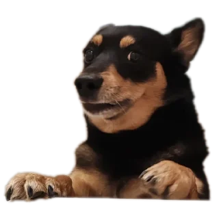 Стикер Мои стикеры - 1