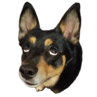 Стикер Мои стикеры - 8