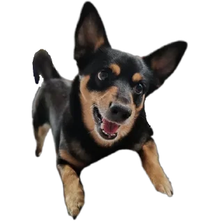 Стикер Мои стикеры - 3