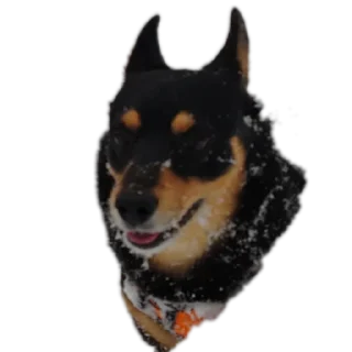 Стикер Мои стикеры - 2