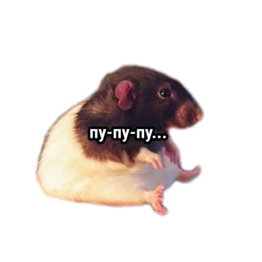 Sticker MoiStikeryAleksandraPikcher - 1