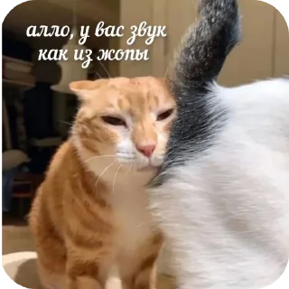 Стикер Александра пикчер представляет=> - 1