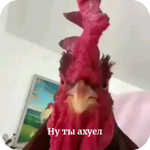 Стикер MoiStiki9805 - 1