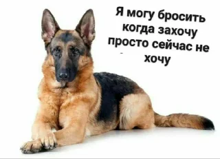 Стикер Мойдодыр - 6