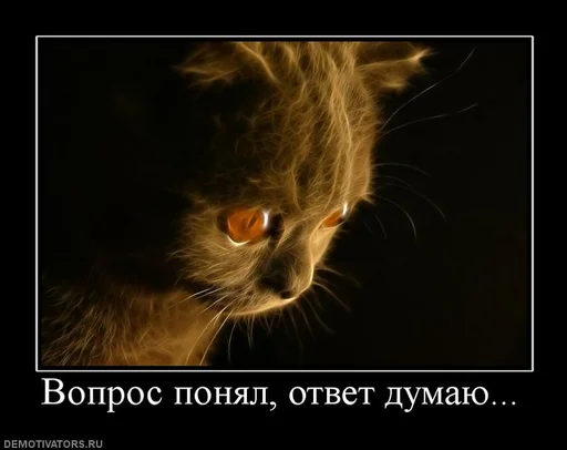 животное млекопитающее кошка