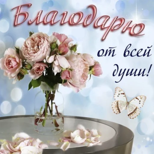 роза цветочный дизайн срезанные цветы