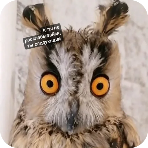 Sticker Moj_nabor183 - 1