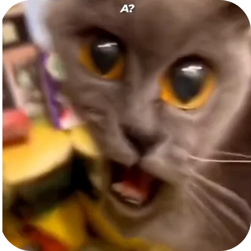 Sticker Moj_nabor183 - 1