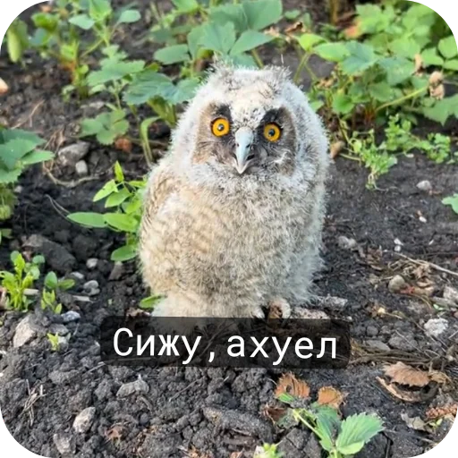 Sticker Moj_nabor183 - 1