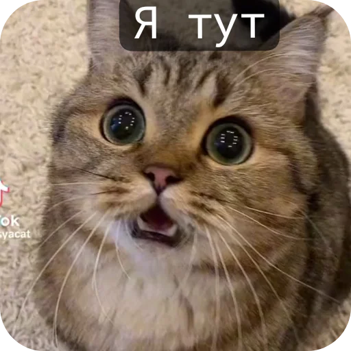 Sticker Moj_nabor183 - 1