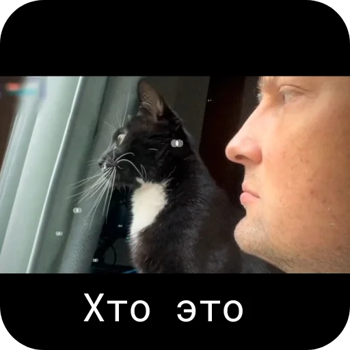 Sticker Moj_nabor183 - 1