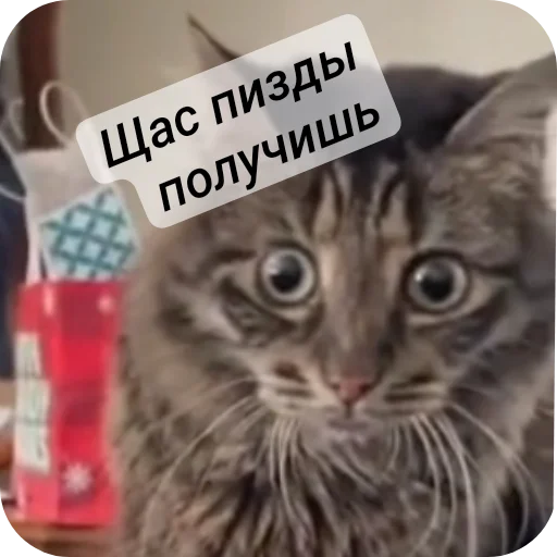 Sticker Moj_nabor183 - 1