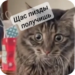 Стикер Стикеры Максимки :З - 6