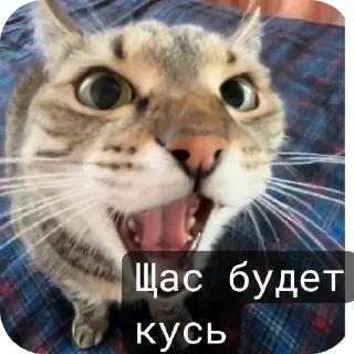 Стикер Стикеры Максимки :З - 0