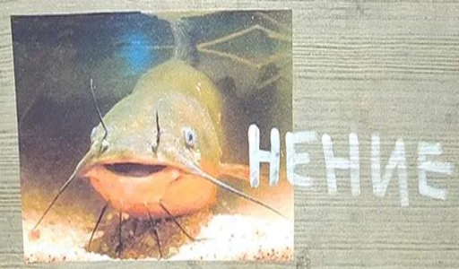 Sticker Можно не можно - 10