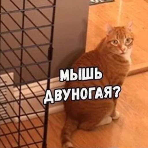 Sticker Можно не можно - 9