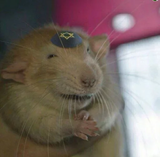 Sticker Можно не можно - 8