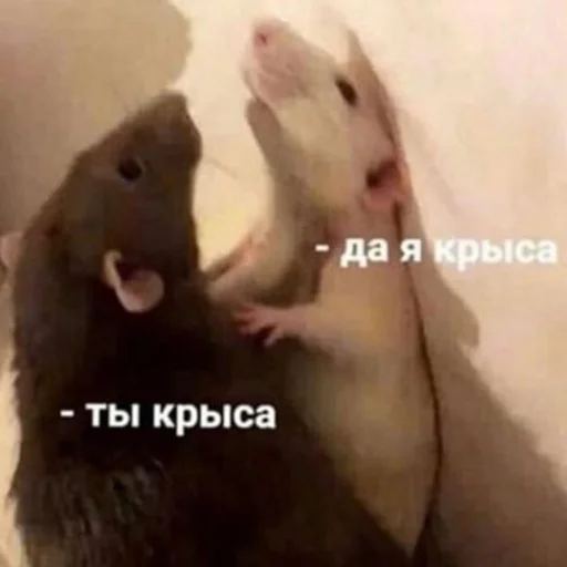 Sticker Можно не можно - 3