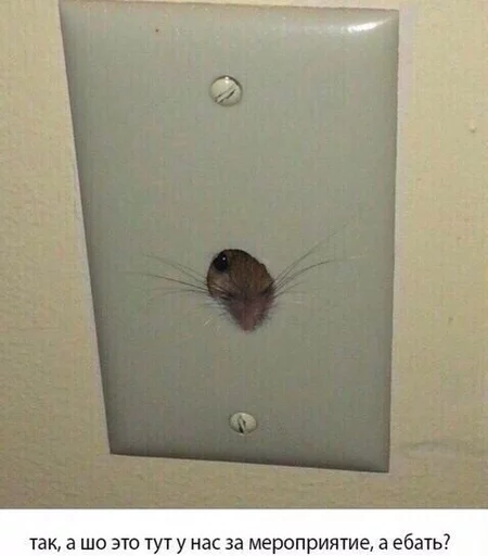 Sticker Можно не можно - 2