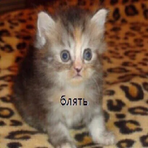 Sticker Можно не можно - 0