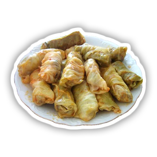 food dish spring roll