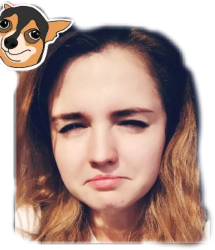 mammal human face cartoon