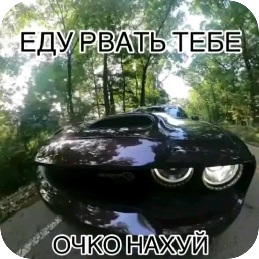 Sticker MolfinPack - 1