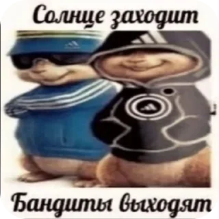 Sticker Molfin Pack - 4