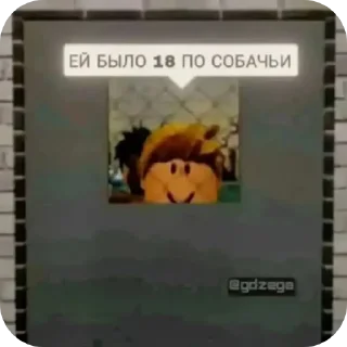 Sticker Molfin Pack - 0