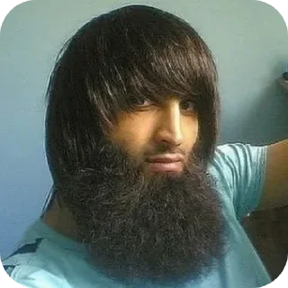 Sticker Molfin Pack - 6