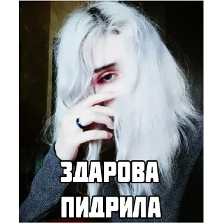 Стикер Моль - 8