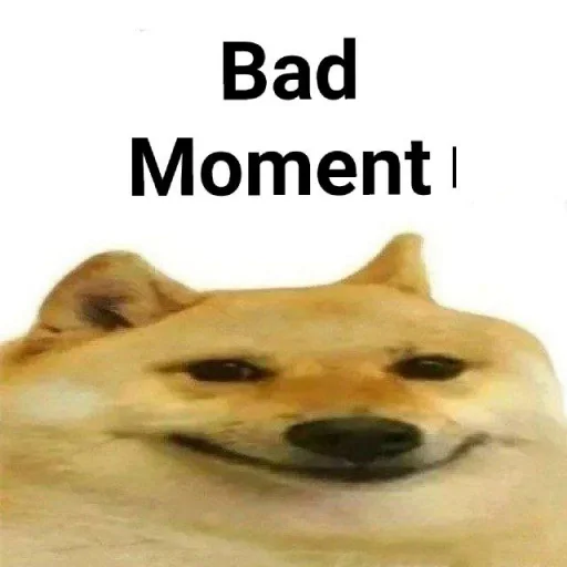 собака животное млекопитающее