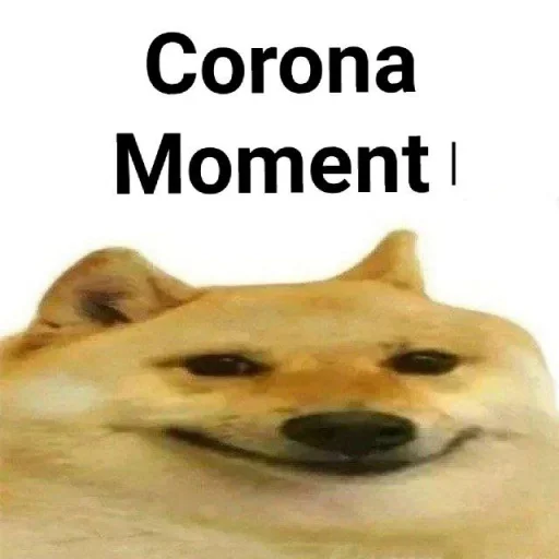 собака животное млекопитающее