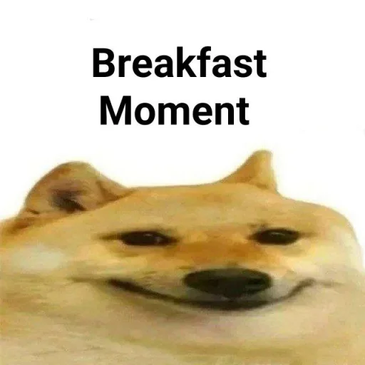 животное собака млекопитающее