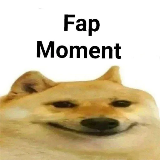 животное собака млекопитающее